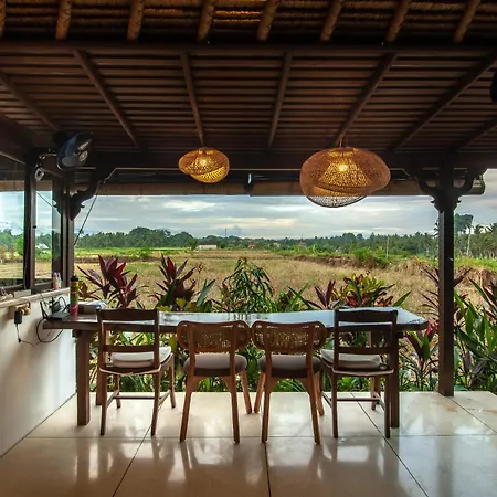 Villa With Rice Field Views In Ubud